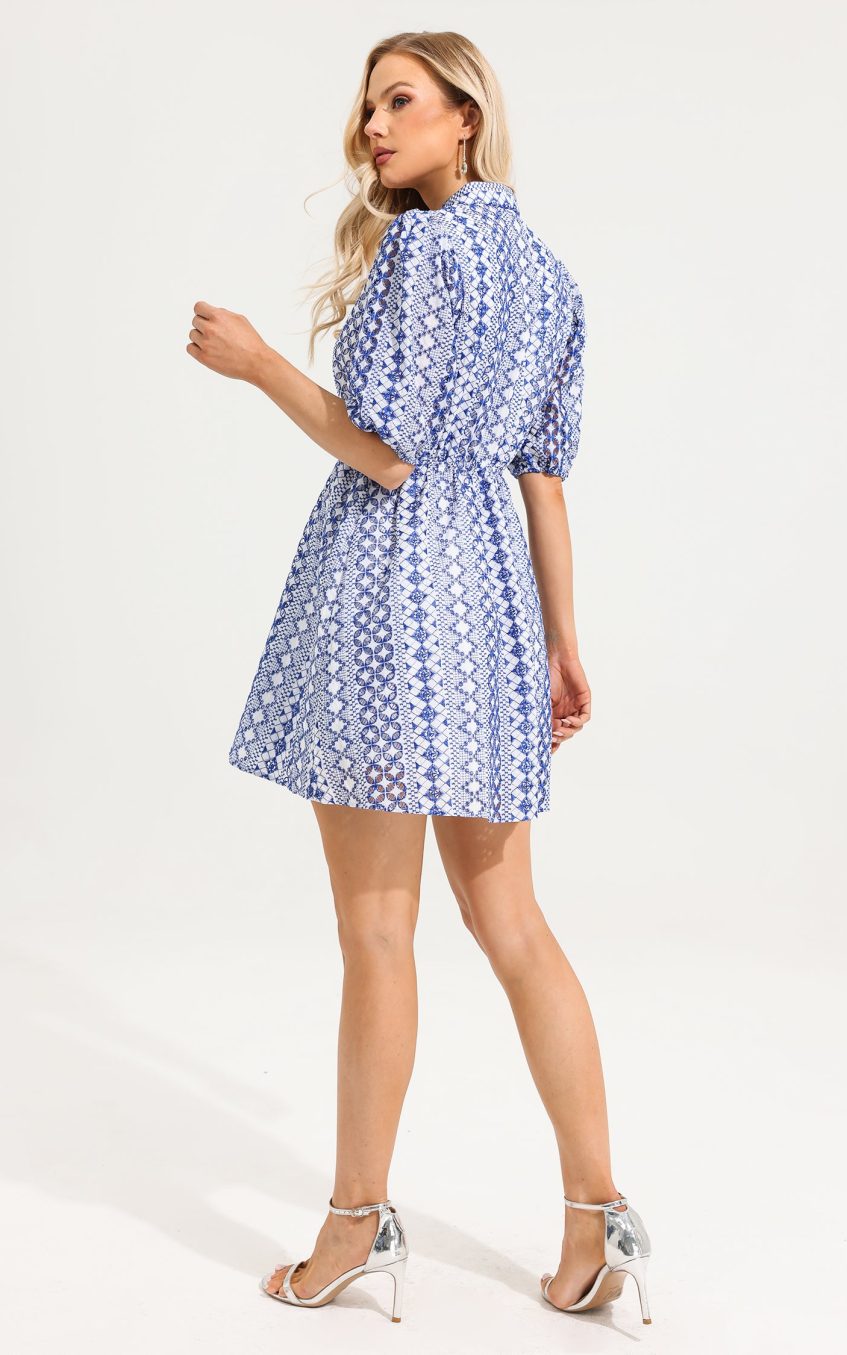 V-Neck Embroider Puff Sleeve Mini Dress