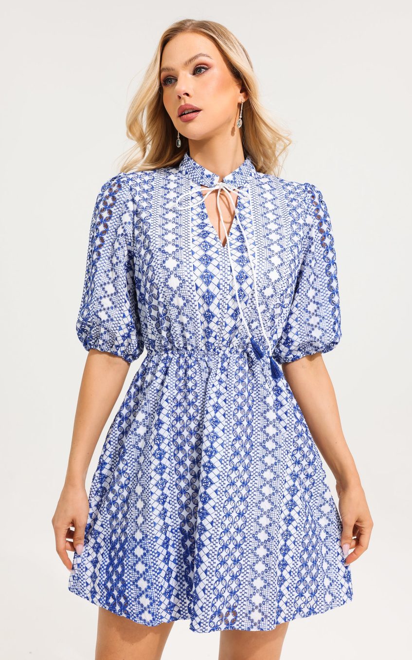 V-Neck Embroider Puff Sleeve Mini Dress