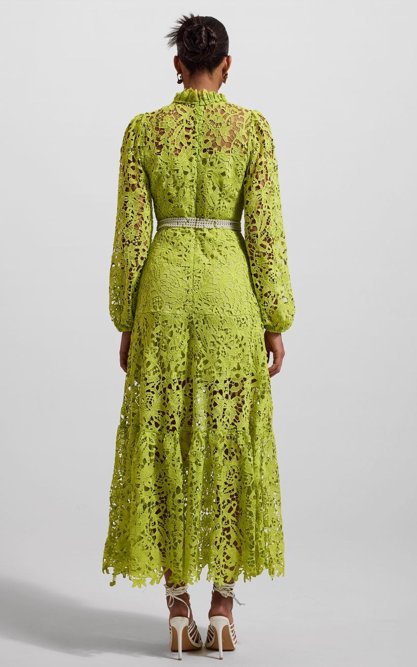 Lace Embroidered Long Sleeve Midi Dress Green