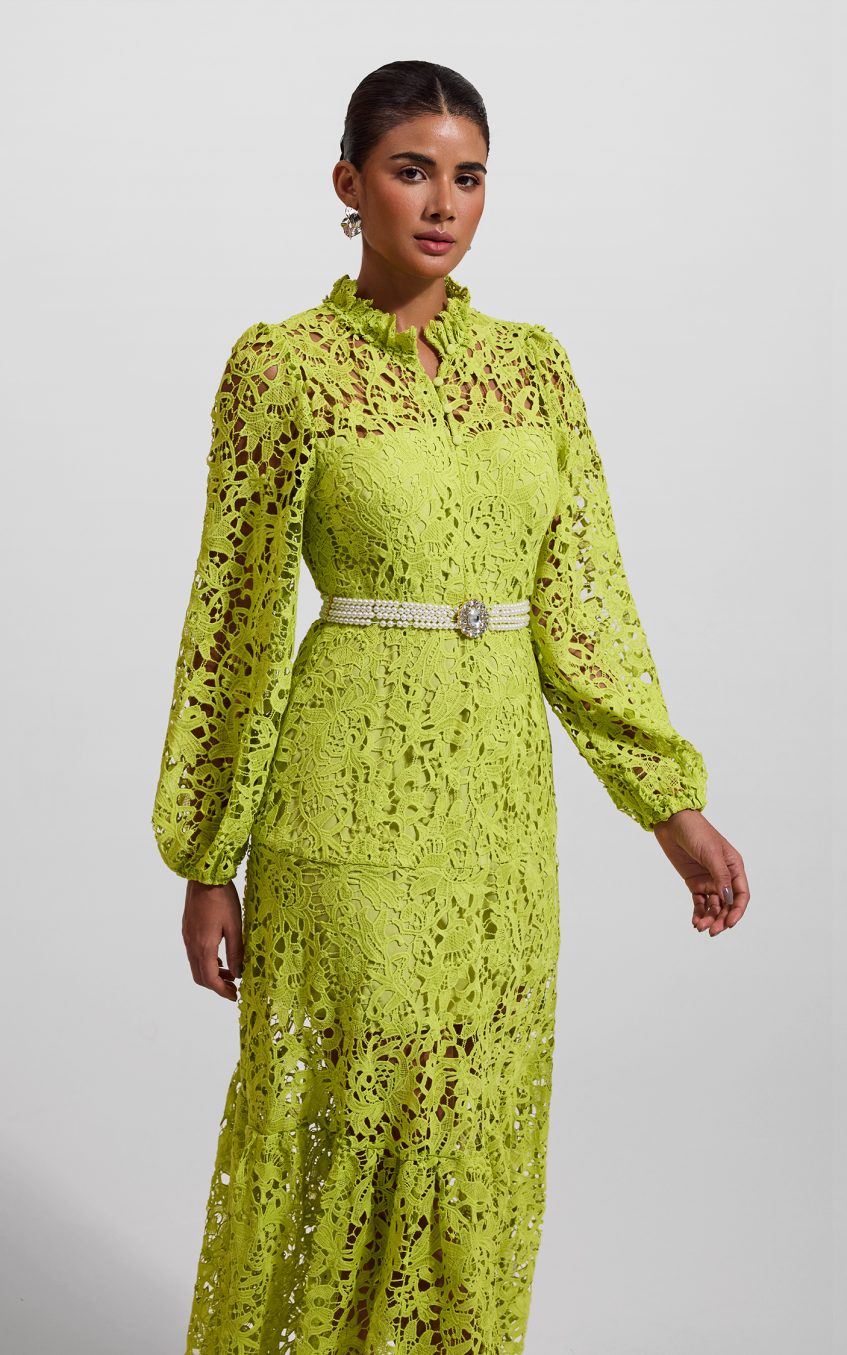 Lace Embroidered Long Sleeve Midi Dress Green