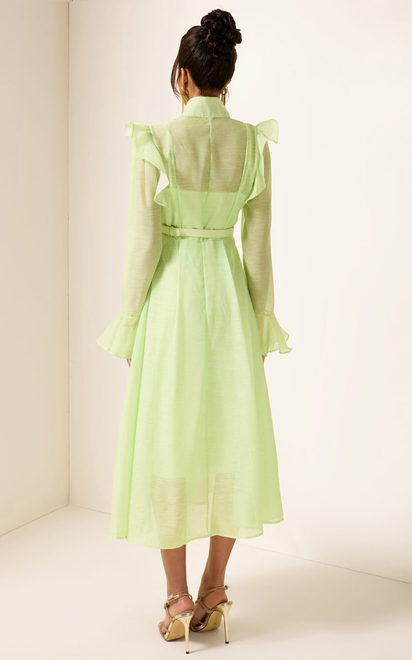 Solid 3D Floral Frill Midi Dress