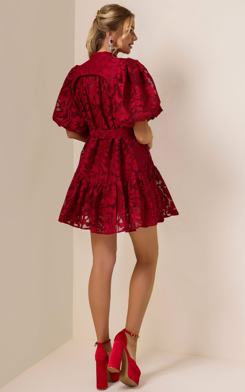 Lace Single Breasted Ruffle Mini Dress