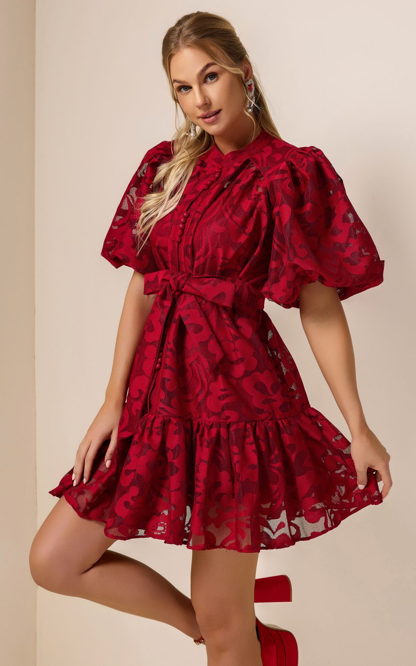 Lace Single Breasted Ruffle Mini Dress